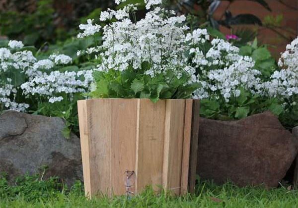 planter00