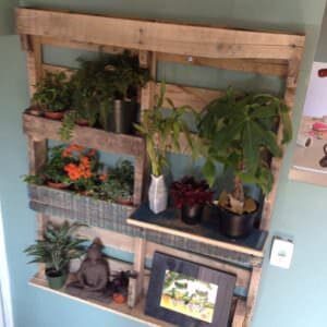 pallet2