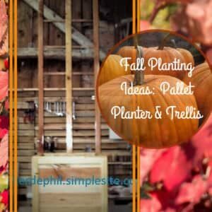 1001pallets.com-pallet-trellis-planter-pots-pour-plantes-d-interieur-02