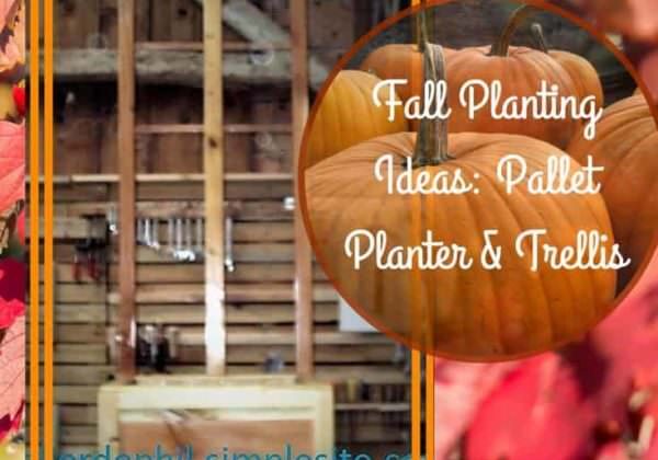 1001pallets.com-pallet-trellis-planter-pots-pour-plantes-d-interieur-02