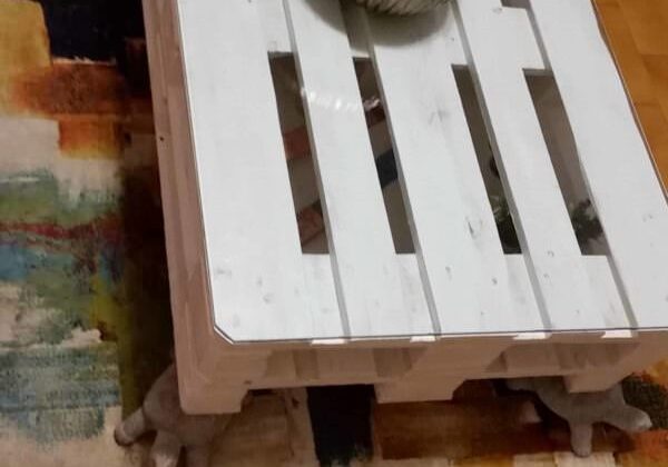 1001pallets.com-living-room-table