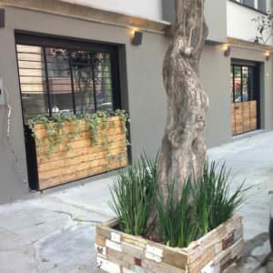 planters-mexico