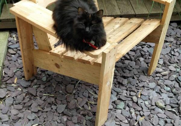 1001pallets.com-hommage-to-wassily-chair
