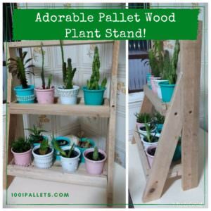 1001pallets.com-pallet-wood-indoor-garden-plant-stand-04