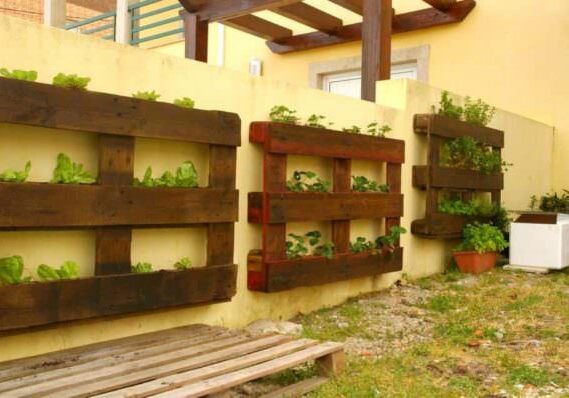 salad-planter1