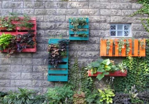 1001pallets.com-pallets-wall-gardens-01