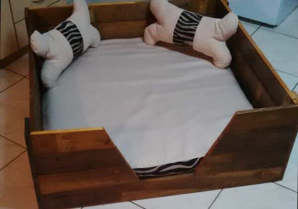 How cute is that pet bed with those pillows? <3