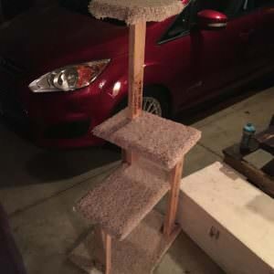 1001pallets.com-cat-tree