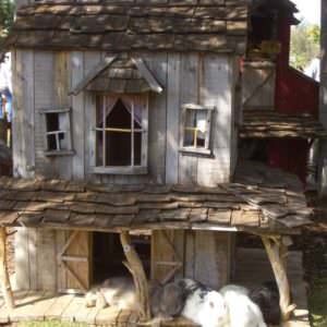 rabbit-pallet