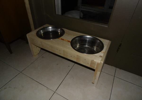 1001pallets.com-dog-trays