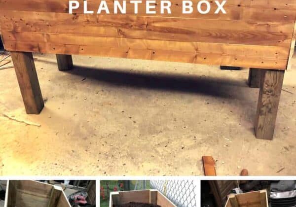 1001pallets.com-raised-pallet-planter-box-08