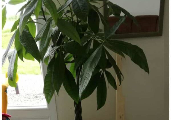 flowerpot-pencil-holder