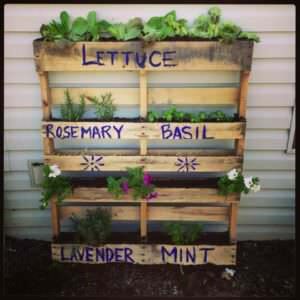 planter