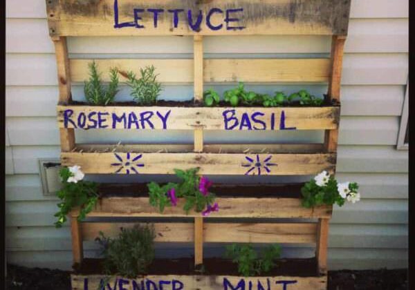 planter