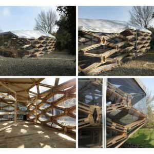 Pallet-Pavilion-07
