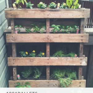 1001pallets.com-reusing-old-pallets-for-garden-projects-02