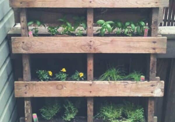 1001pallets.com-reusing-old-pallets-for-garden-projects-02