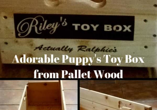 1001pallets.com-riley-amp-ralphie-s-pallet-wood-puppy-toy-box-05