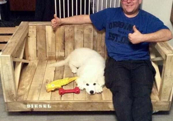 1001pallets.com-rolling-outdoor-pallet-dog-bench-your-dog-may-share-with-you-01