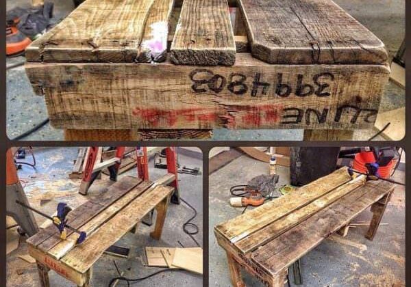bench