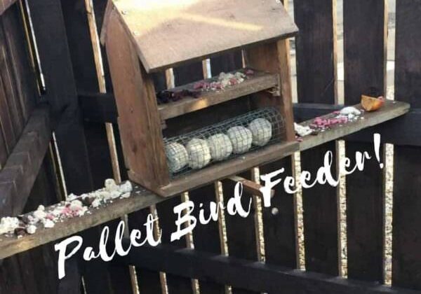 1001pallets.com-simple-attractive-pallet-bird-table-feeder-01