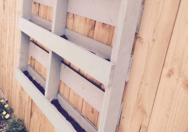 Pallet-herbs