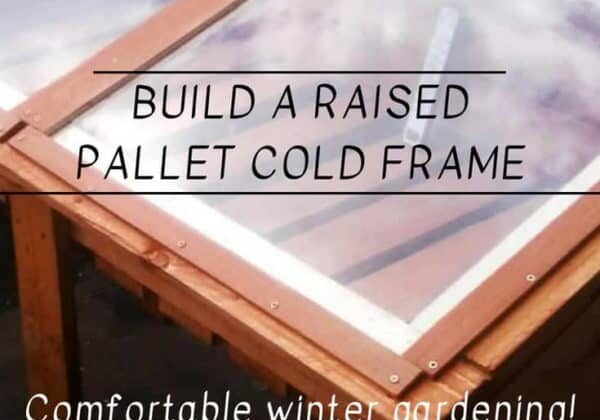 1001pallets.com-sun-worshipping-raised-pallet-cold-frame-for-winter-growing-04