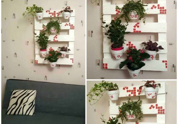 Plantes