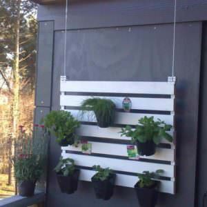 pallet suspended vertical garden