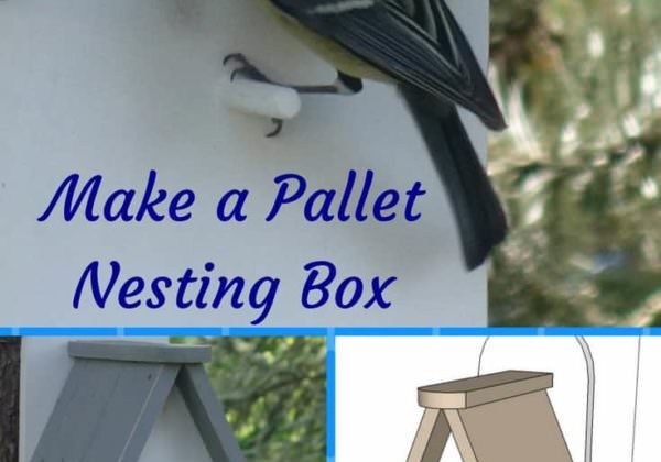1001pallets.com-sweet-little-pallet-nesting-box-for-feathered-friends-12