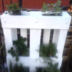 pallet3