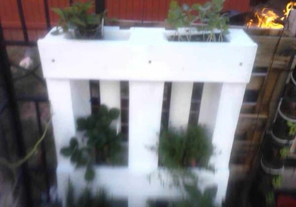 pallet3