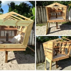 Pallet-Chicken-Coop