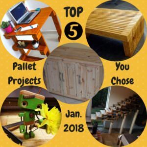 1001pallets.com-top-5-pallet-projects-made-in-january-2018-06