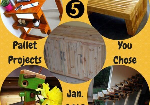 1001pallets.com-top-5-pallet-projects-made-in-january-2018-06