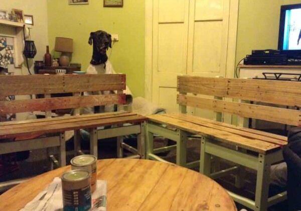 benches