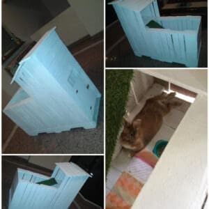rabbit-hut