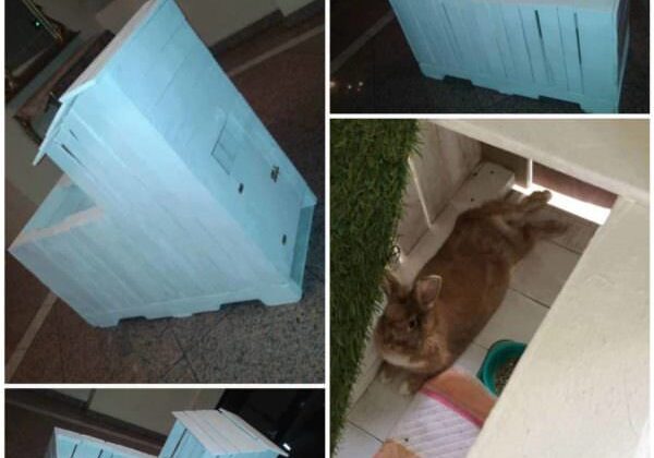 rabbit-hut