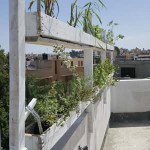 1001pallets.com-hanging-plants-pots-from-pallets1