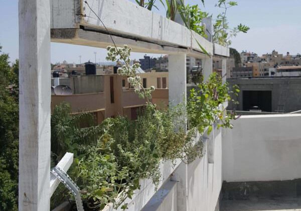 1001pallets.com-hanging-plants-pots-from-pallets1