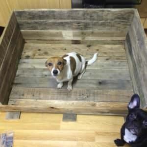 1001pallets.com-whelping-box